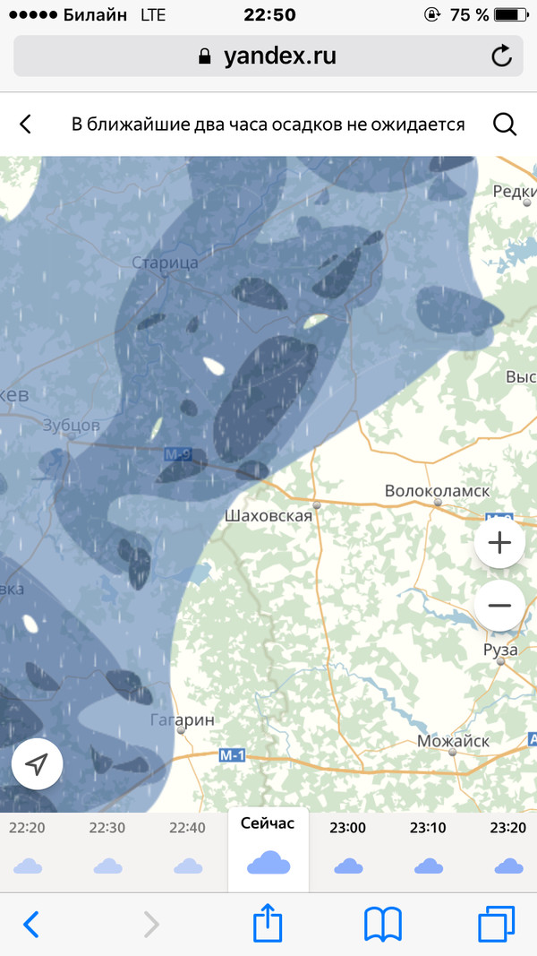 Even the cyclone scares you - My, Moscow, Hurricane, Bad weather, , Yandex Weather, Screenshot, My, June