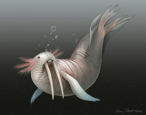 Morjolotl - Deviantart, Axolotl, Art, Walruses