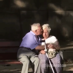 Remembering youth... - Old men, Love, Pigeons, GIF