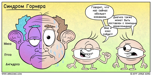 Medical comics. Horner's syndrome - , Translation, The medicine, Disease