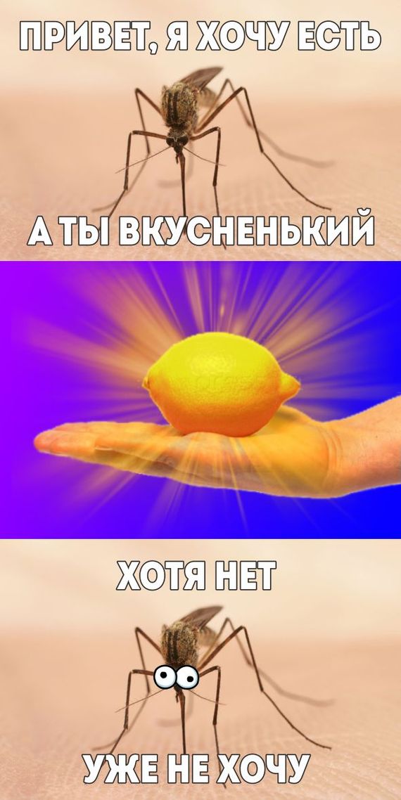 ���� ������.