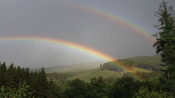 Rainbow