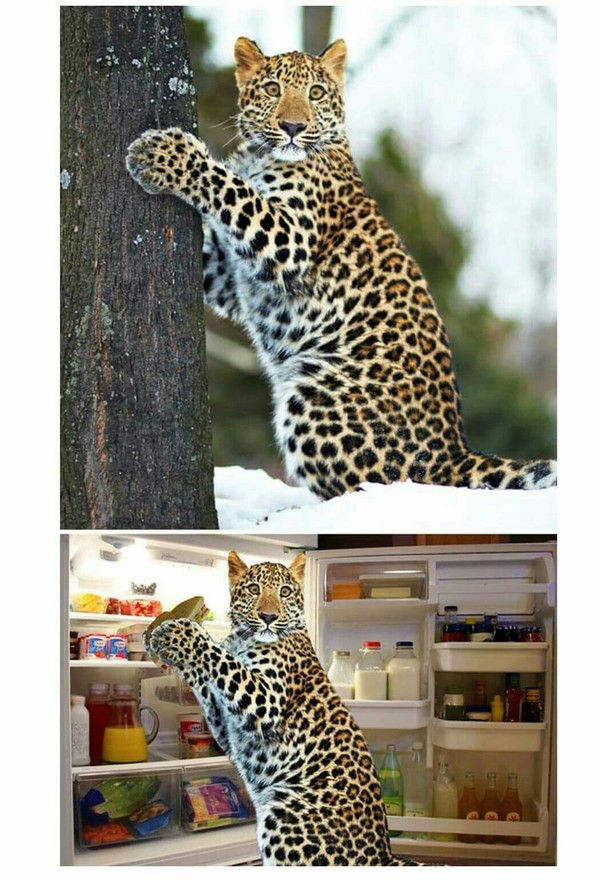  , , , 