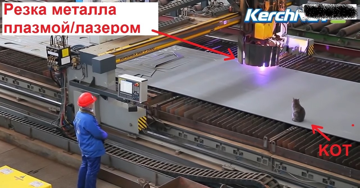 Котики на заводе