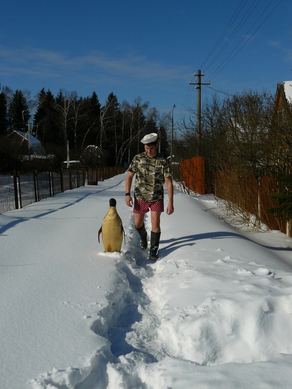 Vasya, nicknamed Penguin - My, Penguins, Winter, Russia, Fun, Pet, Longpost, Pets