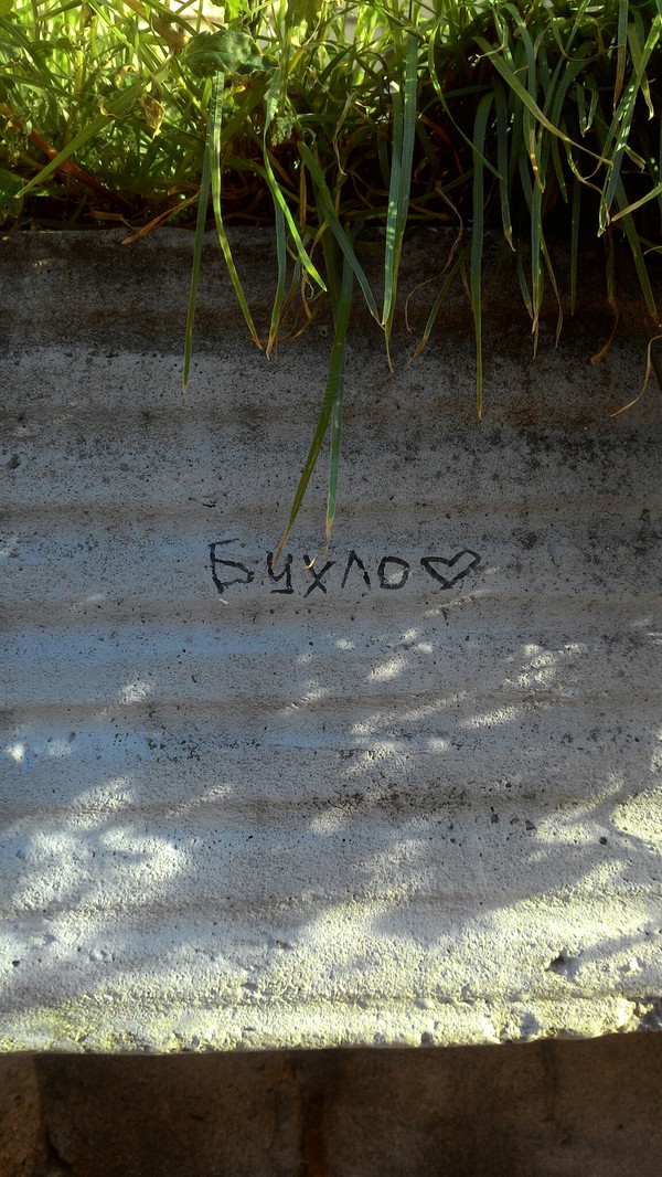 На такую щедрую любовь не многие способны