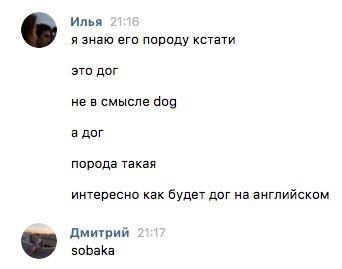 Sobaka - Dialog, Dog, In contact with, Correspondence