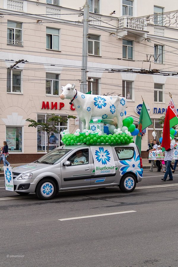 Витебск - парад 3 июля - Юмор, Фотография, Витебск, День независимости, Парад, Республика Беларусь