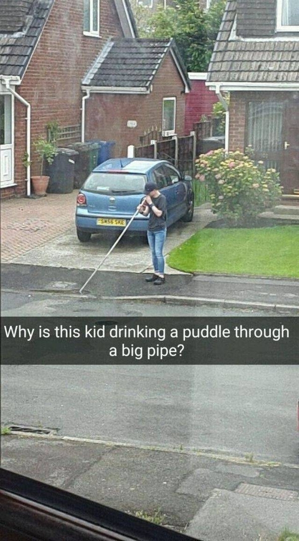  ,       , , , 