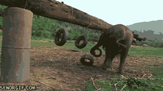 Чем бы дитя не тешилось...
