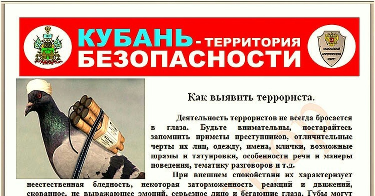 Территория закона презентация