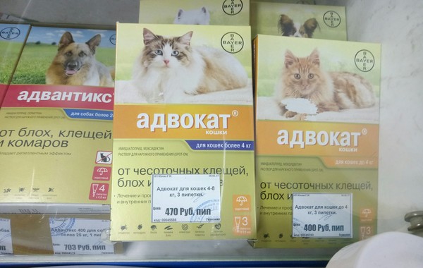 ������ �������