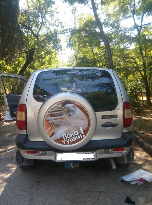 I took a picture of a cat - I pasted a cat - My, cat, Niva, Stickers on cars, The photo, Pokatushki