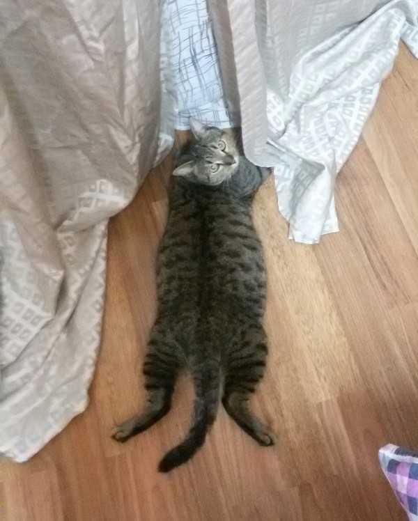 Устал и расплылся)