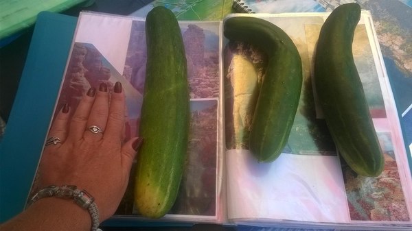 I won't be original. - My, Xxl, Cucumbers, Joke