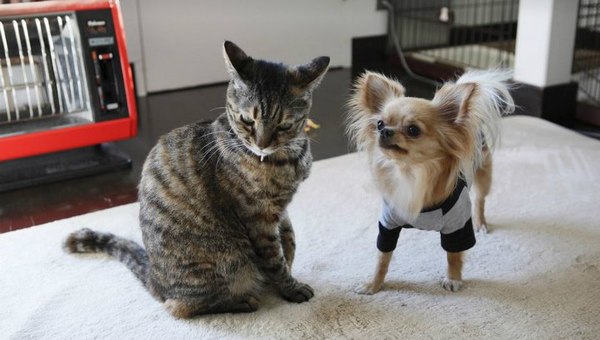 Когда осталось чуть-чуть до...