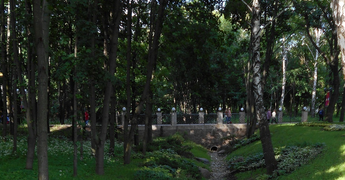 Неглубокий овраг в парке | Пикабу