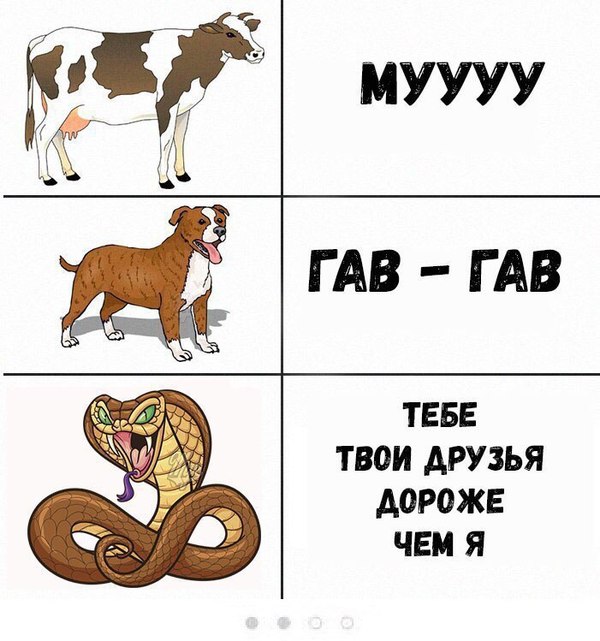    , ,   , , 