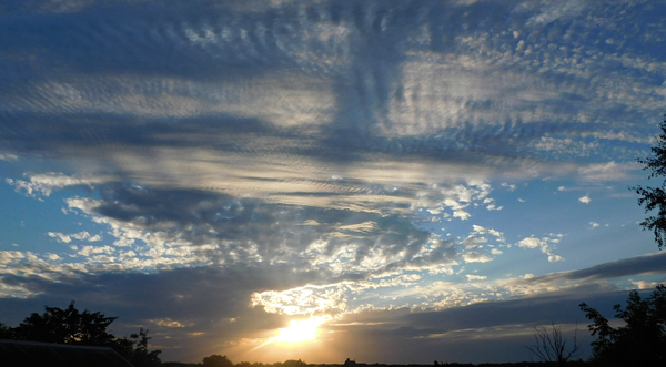 ����������� �����