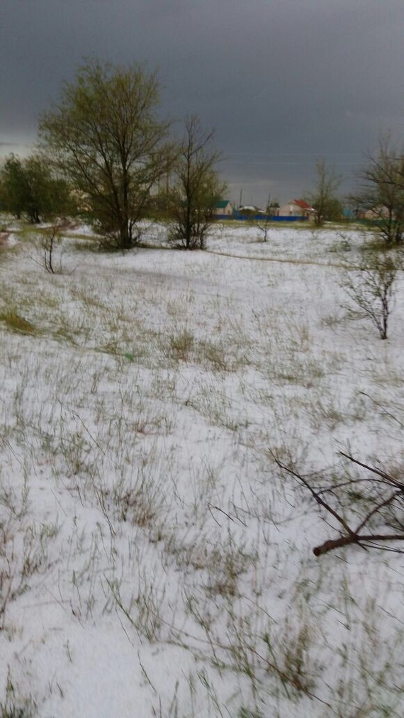 Winter came 07/11/2017 - Kazakhstan, Winter, Longpost, Snow