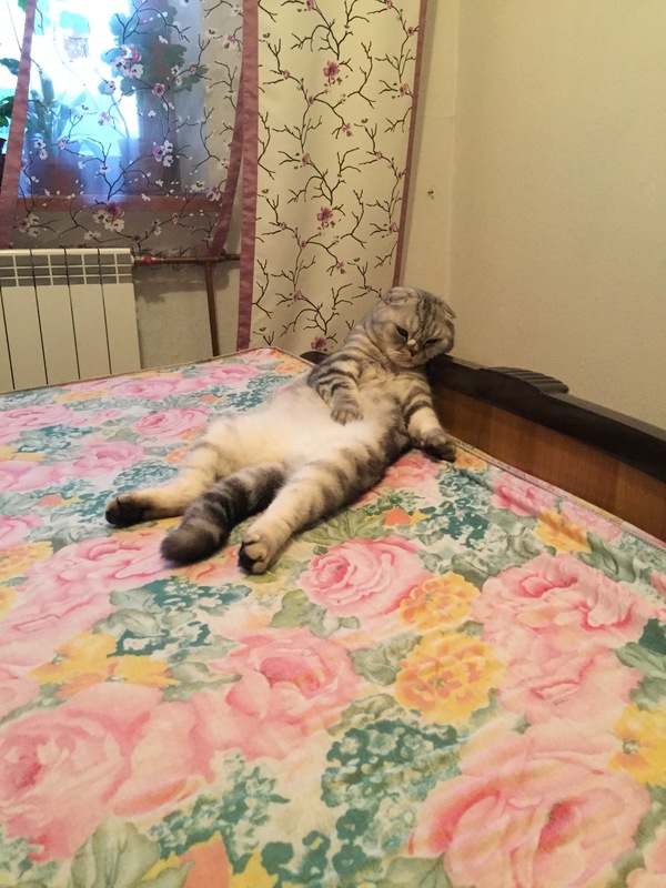 Вот так мы спим