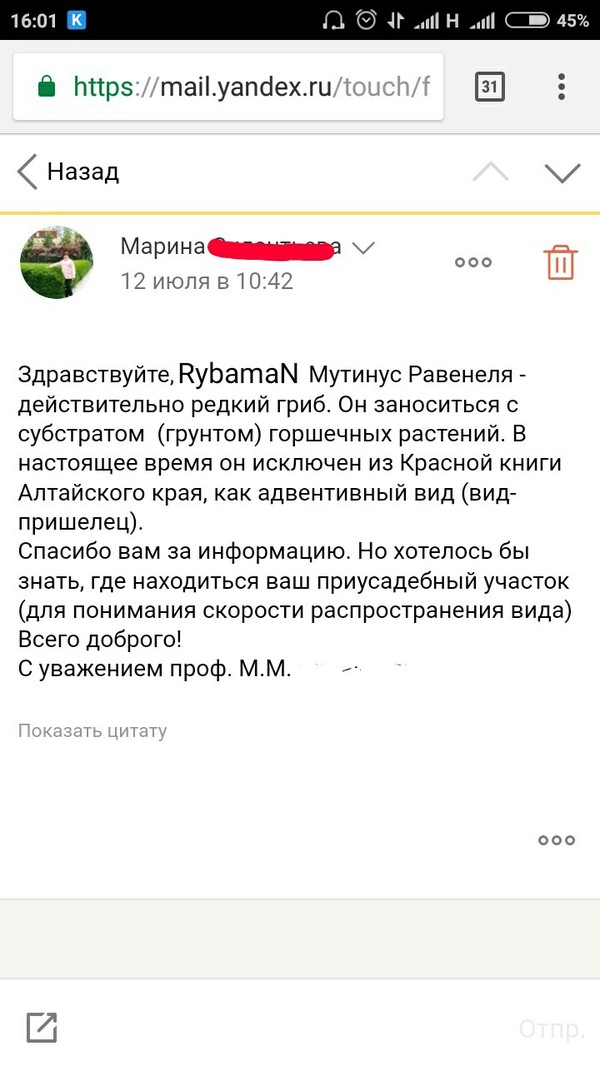 "-" ,  ,  , 