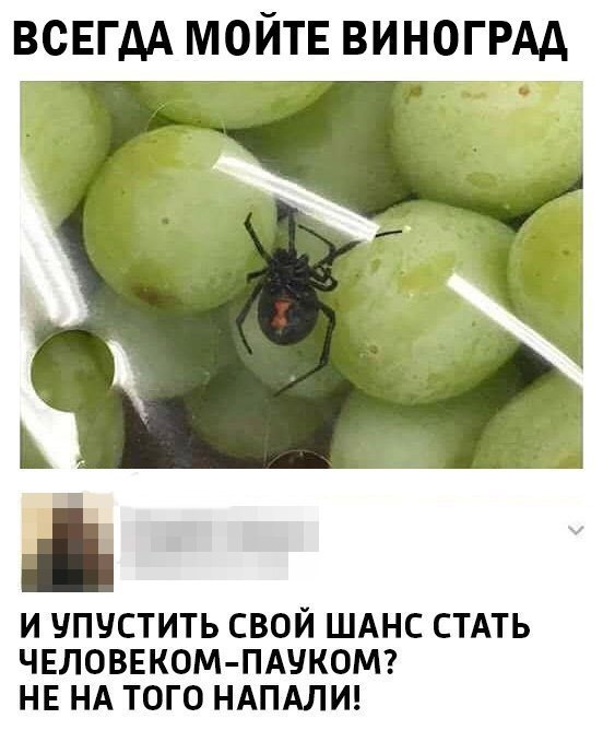 The wrong one was attacked - Grape, Spider, Spiderman, Comments