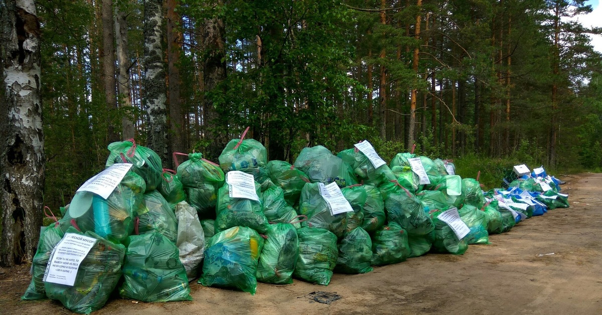 Производители экологический сбор. Мусорные мешки в лесу. Мусорные пакеты в лесах. Пакет с мусором в лесу.