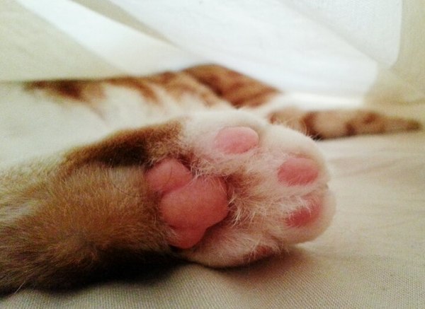 ���� �� �����...