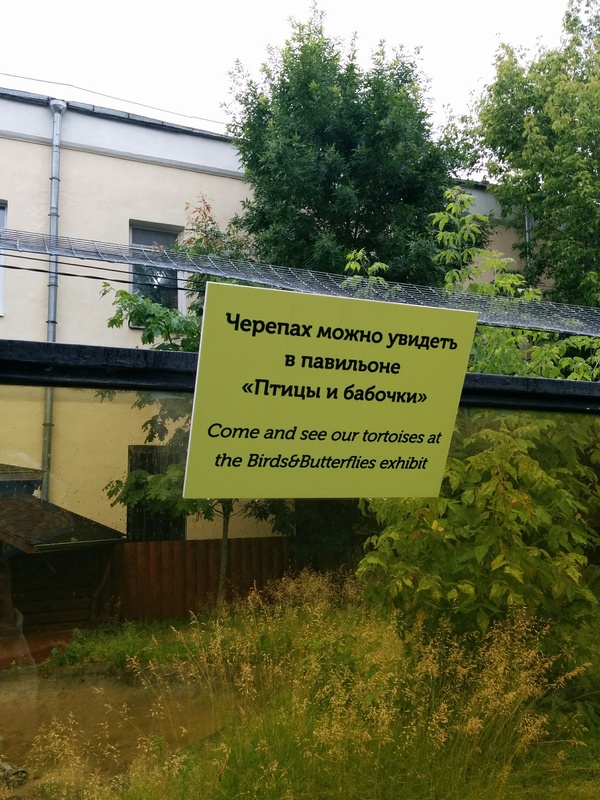 Московский зоопарк. Где находятся черепахи? - Моё, Московский зоопарк, Зоопарк, Черепаха, Павильон