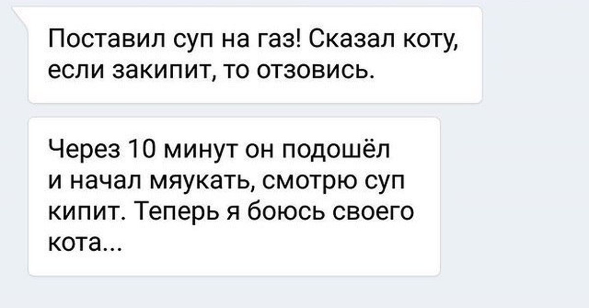 Скажи газ. Поставил суп на ГАЗ. Сказал коту. Попросила кота сообщить когда закипит суп. Что сказать если сказали суп с котом. Гифка - поставил суп, сказал коту - когда закипит, мяукнешь.