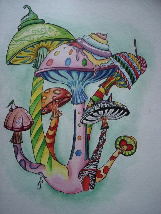 Any mushroom (sketches from around the world) - Tattoo Lovers League, Sketch, Mushrooms, Longpost, Tattoo