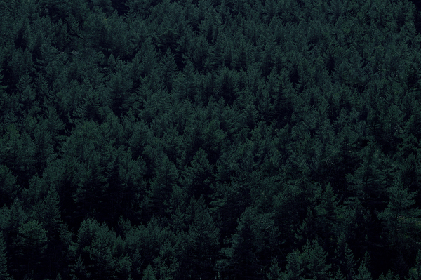 Кавказ Моё, Фотограф, Виталий орлинский, Кавказ, Природа, Горы, Красота, Длиннопост