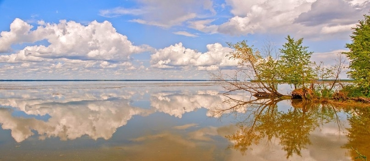 Озеро салтаим омская