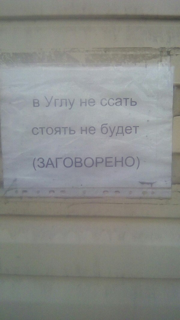 � ����� ������...