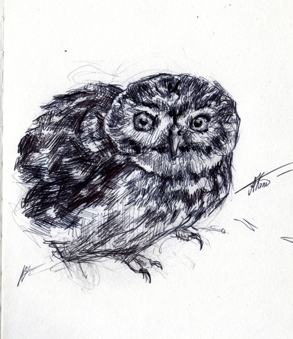 �����������, ��� �����.