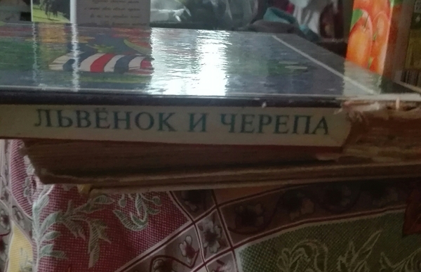 Как мой сын одним движением, превратил детскую книжку в хоррор) - Моё, Крипота, Дети, Череп