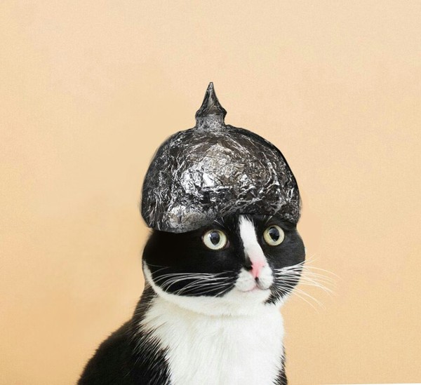 When you firmly believe in the Russian Orthodox Church, denying everything logical and rational - Badly, cat