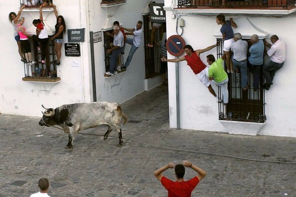 When the boss comes back from vacation - Boss, Work, Bull, Bosses