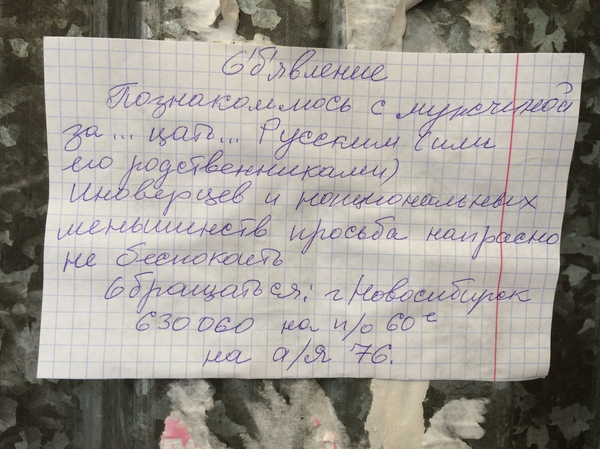 Найдено мною на просторах Академгородка - Моё, Ищу мужа, Знакомства, Объявление, Для тех кому за дцать, Юмор