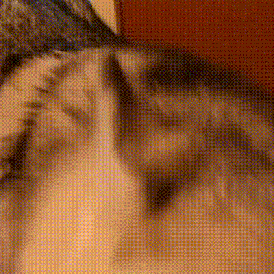 1500332375145715956.gif