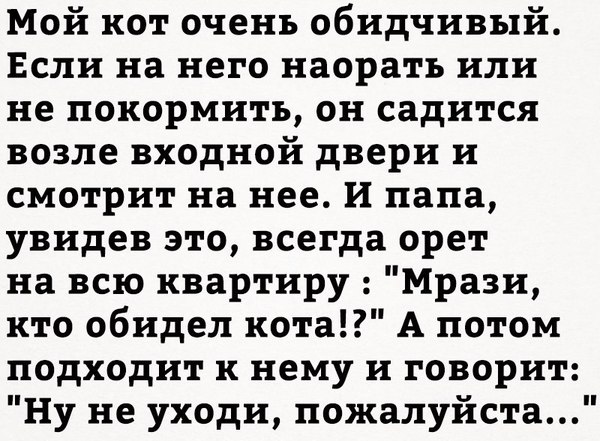 Кто котейку обидел? - Кот, Шерстяной хитрец