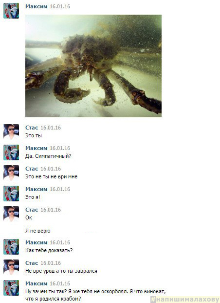 Crab revelations. Correspondence. - My, Correspondence, Funny correspondence, Crab, , Longpost