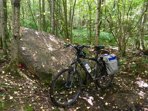 How long have you found pagan shrines in the forest? - My, Paganism, blue stone