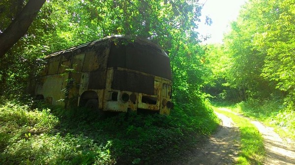 On the banks of the Oka River - My, Bus, Oka, Kashira