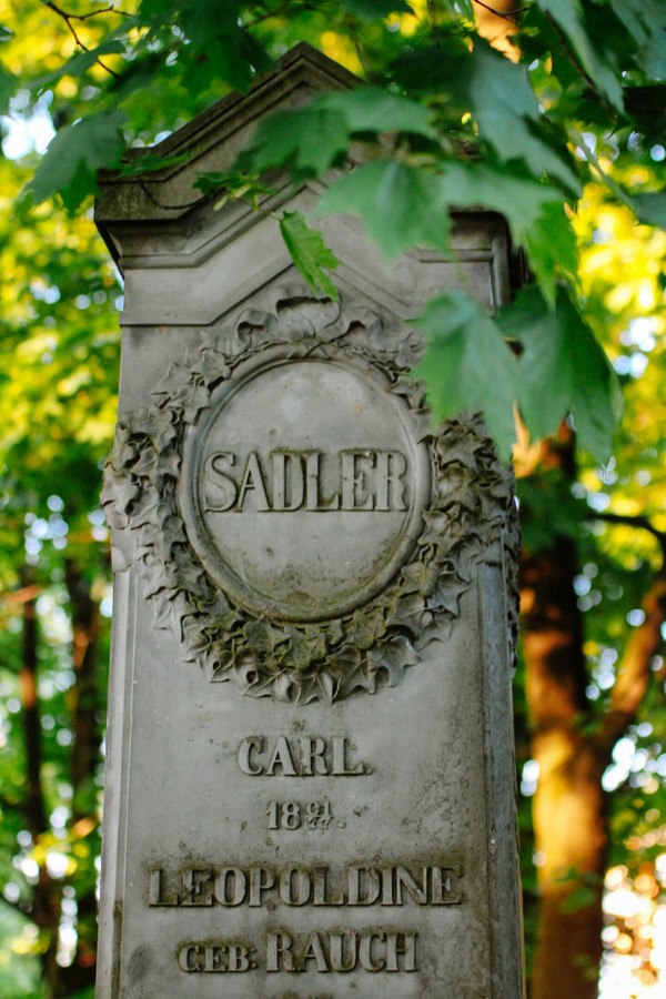 Smolensk Lutheran cemetery in St. Petersburg. - My, Saint Petersburg, Cemetery, The photo, Canon, Tamron, Longpost