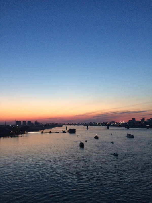 Sunset... - My, Novosibirsk, Sunset, Bridge, River, Ob, beauty