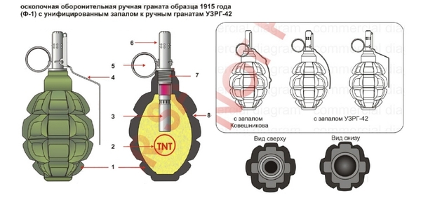 Grenade F-1 Limonka - Weapon, Grenades, Pineapple, Hand grenade