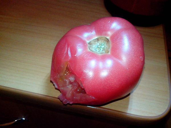 This is a tomato. Delicious, ripe and full of life. Do not be sad. You will succeed! - My, Tomatoes, A life, Vegetables, Philosophy