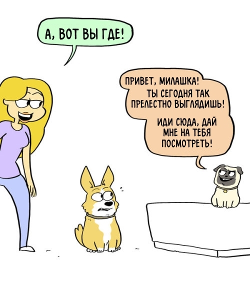 Advice - Comics, , GIF with background, GIF, Longpost, Dog